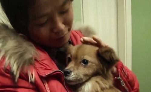 狗子黑料爆料视频下载,视频爆料背后的真相与争议 第1张 狗子黑料爆料视频下载,视频爆料背后的真相与争议 第1张